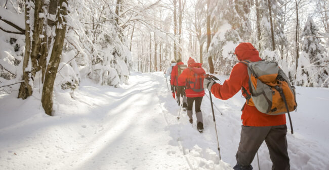 Actieve wintervakantie? Sneeuwwandelen!