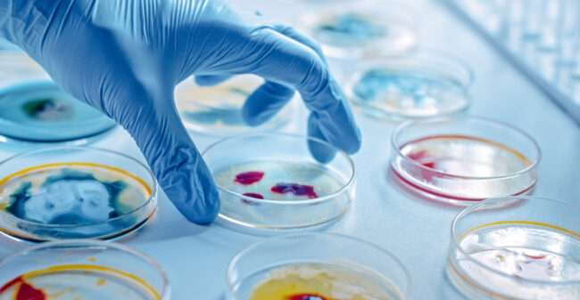 Wat weet jij over bacteriën en virussen?